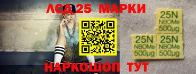 индика Лесосибирск