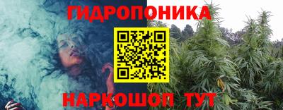 индика Лесосибирск