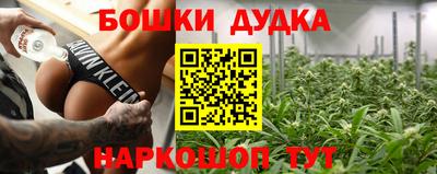 индика Лесосибирск