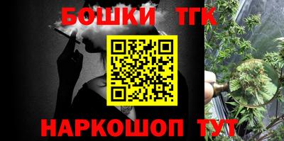 индика Лесосибирск
