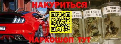 индика Лесосибирск