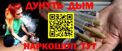 индика Лесосибирск