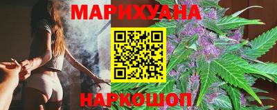 индика Лесосибирск