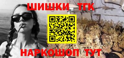 индика Лесосибирск
