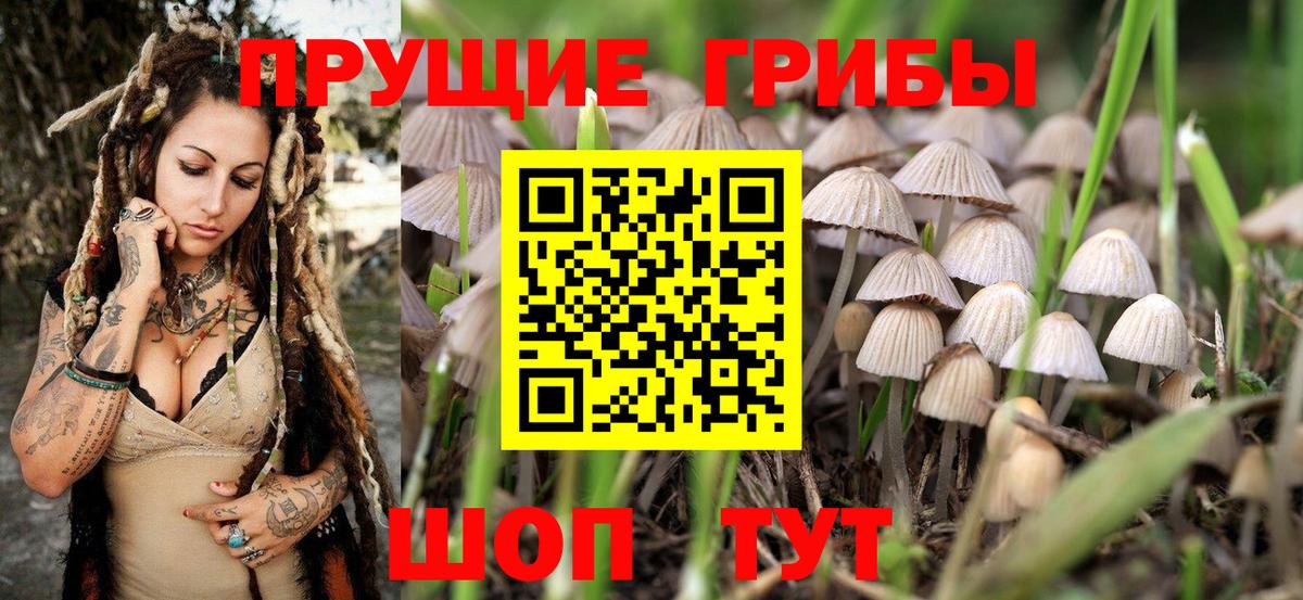 Галлюциногенные грибы мицелий Выкса