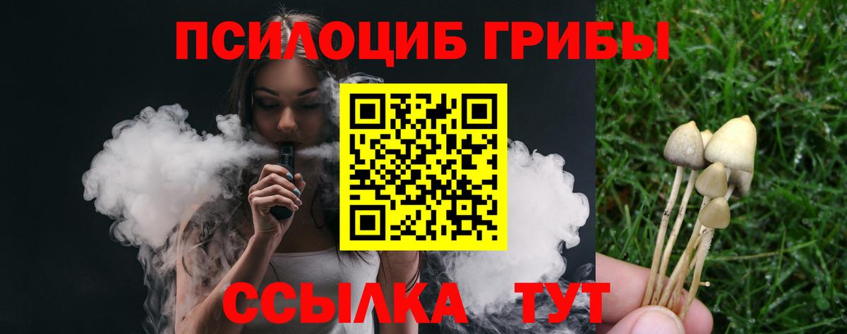 Выкса  Псилоцибиновые грибы Magic Shrooms  Вход с VPN 